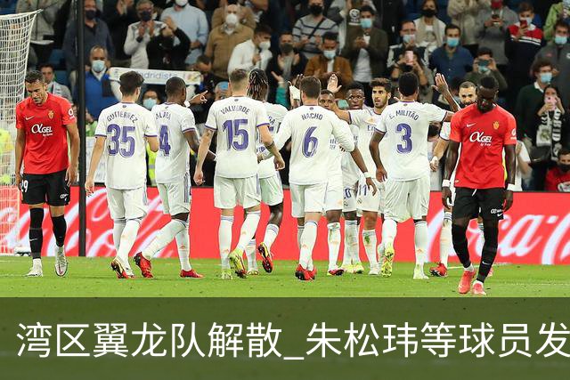 湾区翼龙队解散 朱松玮等球员发布声明维权